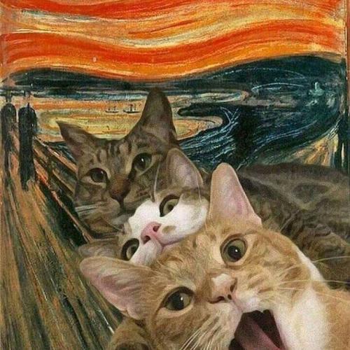 สมาชิกหมายเลข 7343645