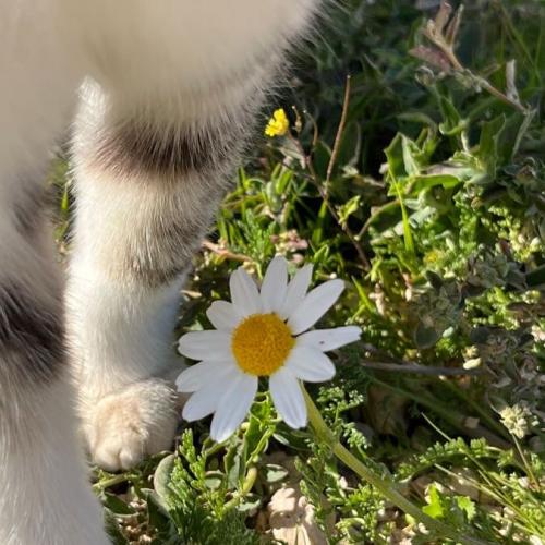 สมาชิกหมายเลข 5152992