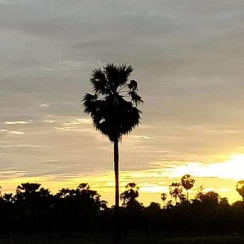 สมาชิกหมายเลข 5535296