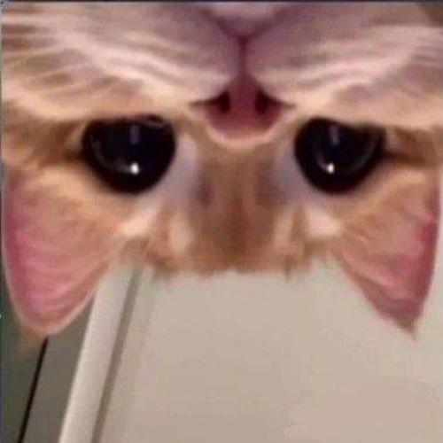 สมาชิกหมายเลข 6913456