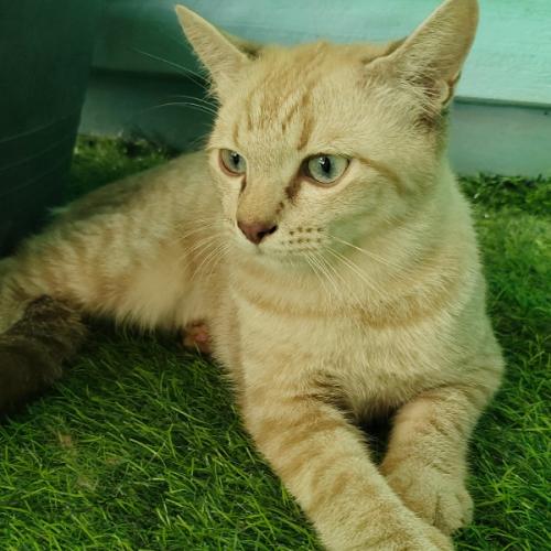 สมาชิกหมายเลข 981681