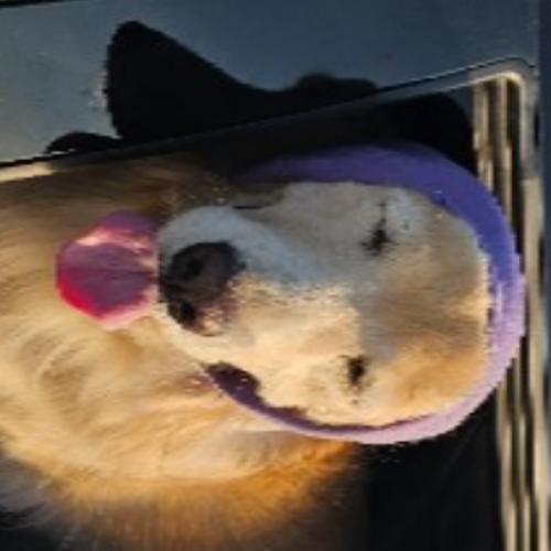 สมาชิกหมายเลข 1554005