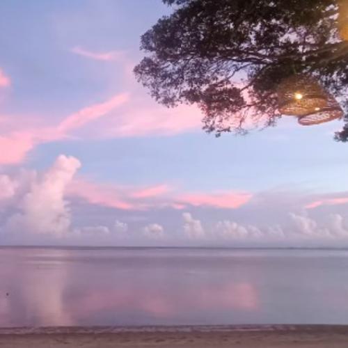 สมาชิกหมายเลข 1827775