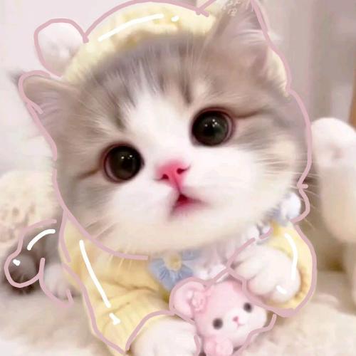 สมาชิกหมายเลข 8604691