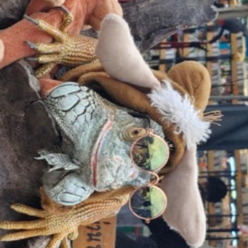 สมาชิกหมายเลข 9217929