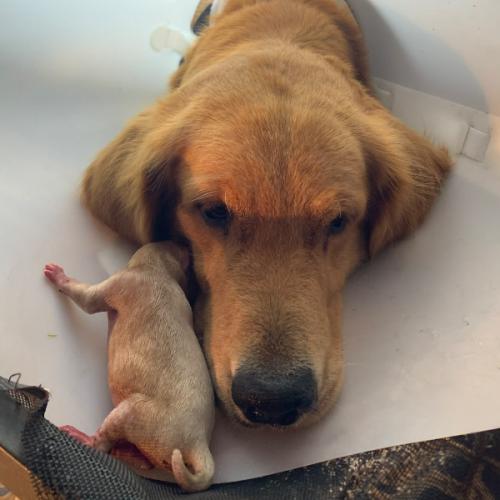 สมาชิกหมายเลข 9220848