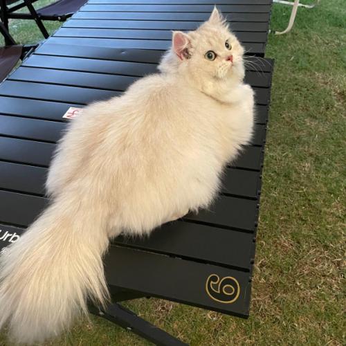 สมาชิกหมายเลข 9221289