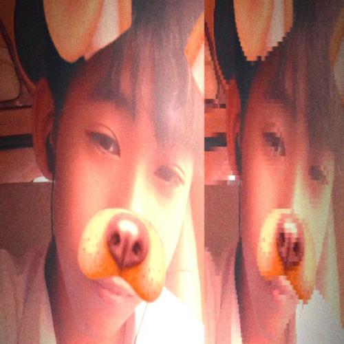 สมาชิกหมายเลข 9221539