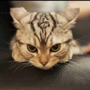 สมาชิกหมายเลข 3868394