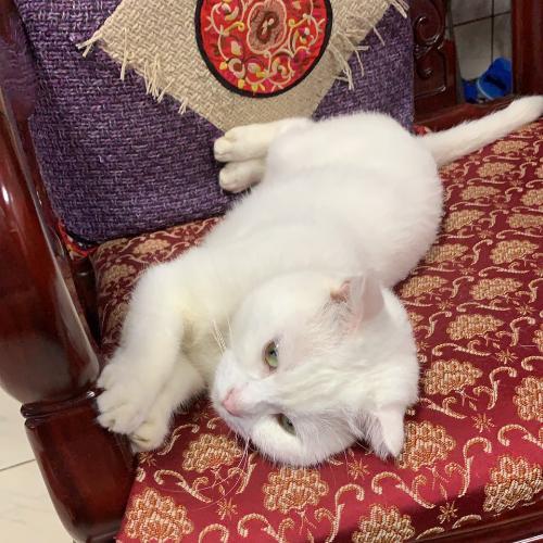 สมาชิกหมายเลข 5467084