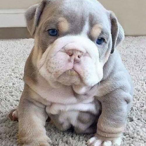 สมาชิกหมายเลข 5468711