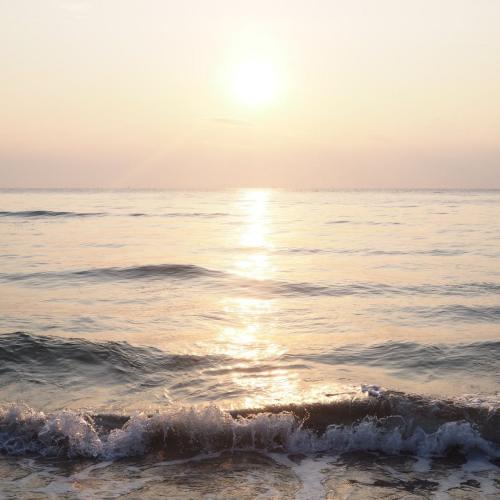 สมาชิกหมายเลข 5994301