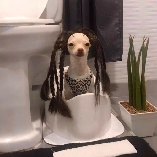 นุ้งผมเปีย