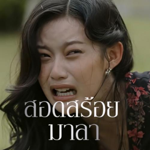 สมาชิกหมายเลข 7352212