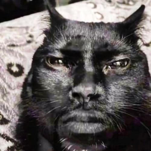 สมาชิกหมายเลข 9222050