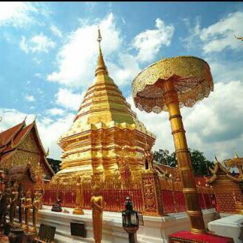 สมาชิกหมายเลข 4336320