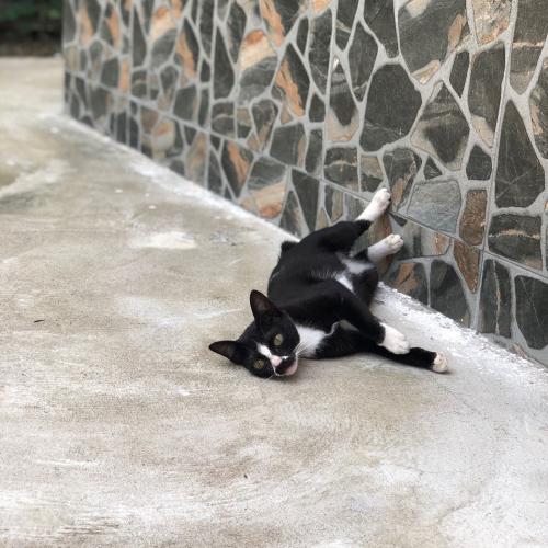 สมาชิกหมายเลข 4706343