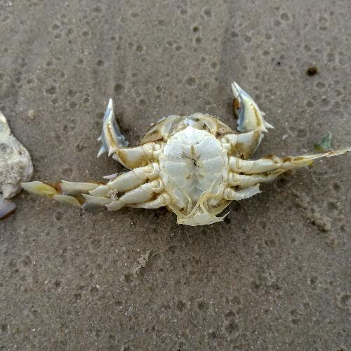 สมาชิกหมายเลข 5075218