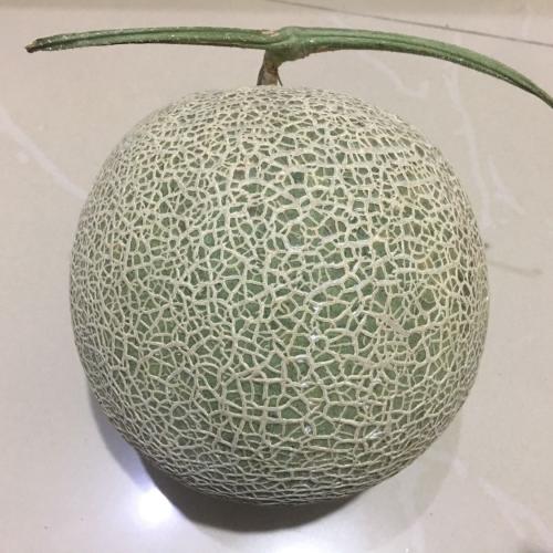 สมาชิกหมายเลข 1011631