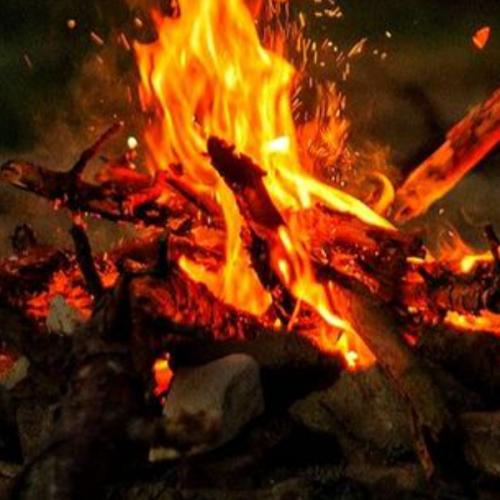 สมาชิกหมายเลข 5083981