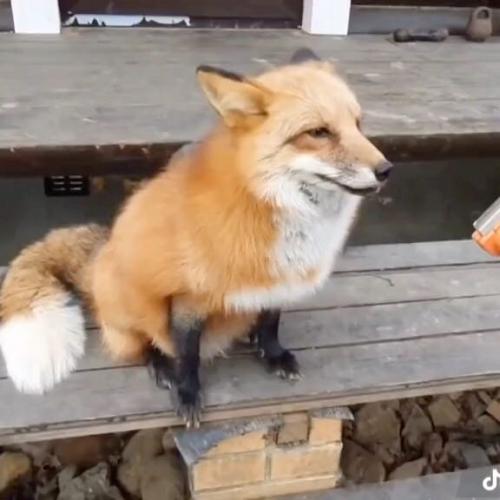 สมาชิกหมายเลข 5660293