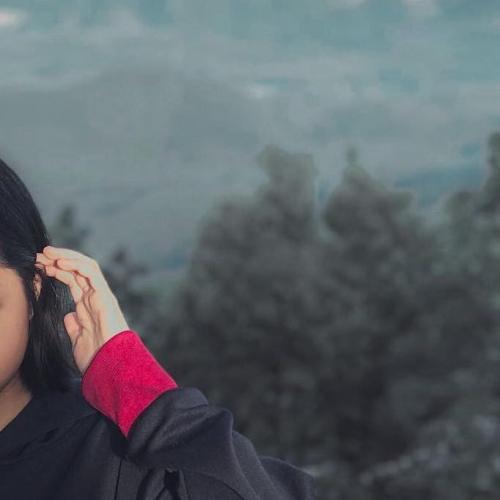 สมาชิกหมายเลข 5995237