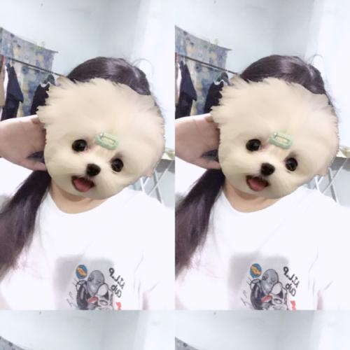 สมาชิกหมายเลข 6199309