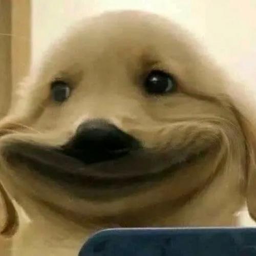 สมาชิกหมายเลข 7344941