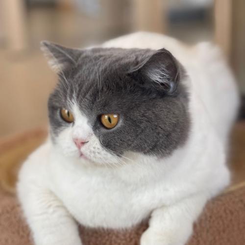 สมาชิกหมายเลข 3929217