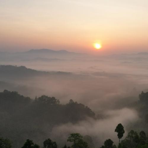 สมาชิกหมายเลข 8217778