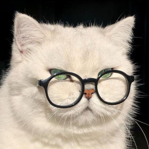 สมาชิกหมายเลข 8349317