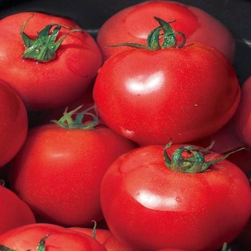 สมาชิกหมายเลข 9222854