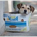 สมาชิกหมายเลข 4336438