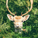 สมาชิกหมายเลข 4336540