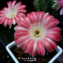 ความสุข อยู่แค่นี้เอง