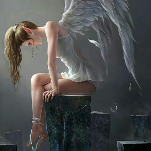 สมาชิกหมายเลข 4562138