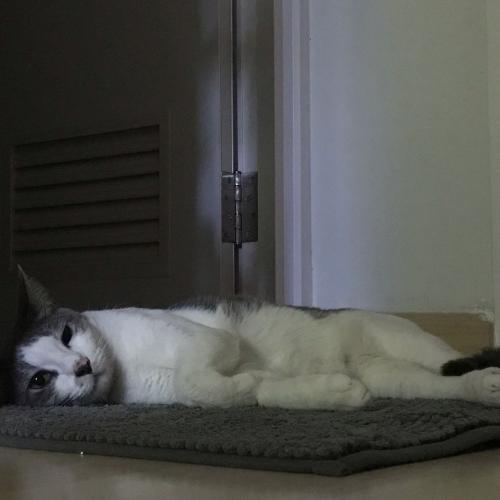 สมาชิกหมายเลข 4307604