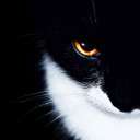 สมาชิกหมายเลข 5469566