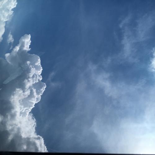 สมาชิกหมายเลข 5994069