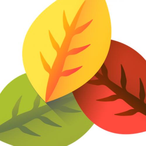 สมาชิกหมายเลข 6606971