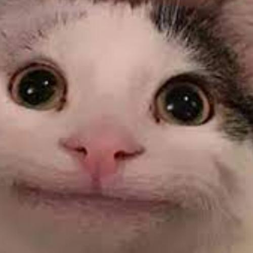 สมาชิกหมายเลข 7345198