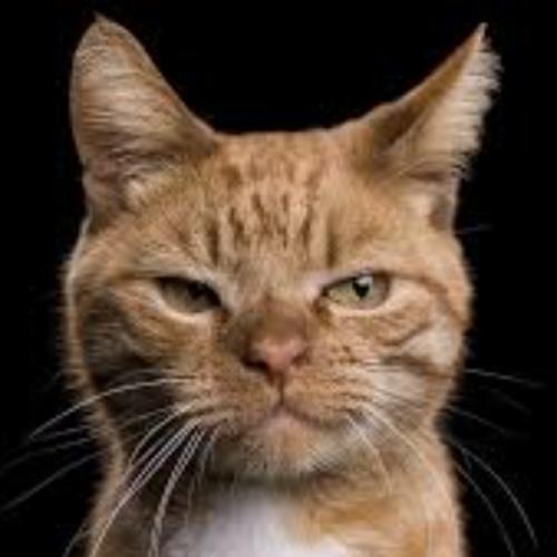 สมาชิกหมายเลข 7345779