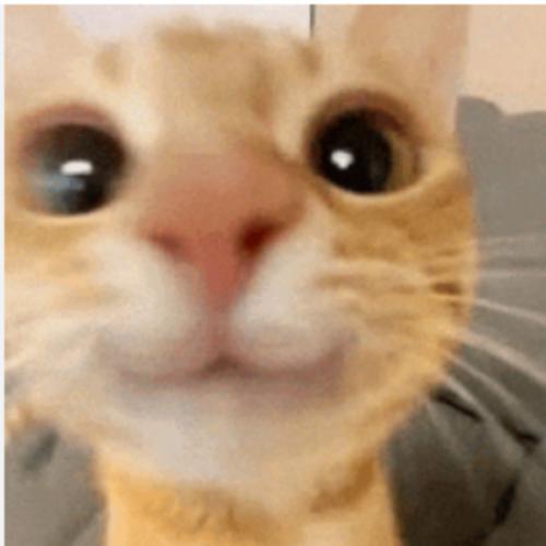 สมาชิกหมายเลข 9223448