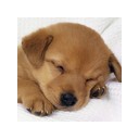 สมาชิกหมายเลข 3869269