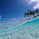 สมาชิกหมายเลข 3869475