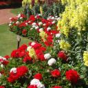 สมาชิกหมายเลข 4144382