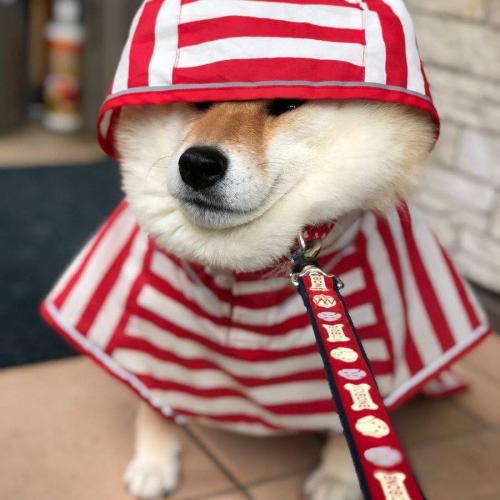 สมาชิกหมายเลข 3438470