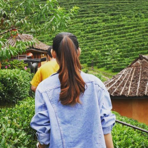 สมาชิกหมายเลข 4090101