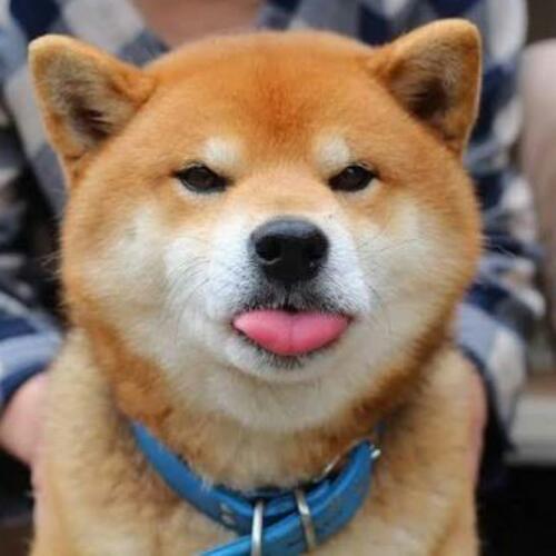 สมาชิกหมายเลข 4707243