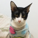 สมาชิกหมายเลข 5076421